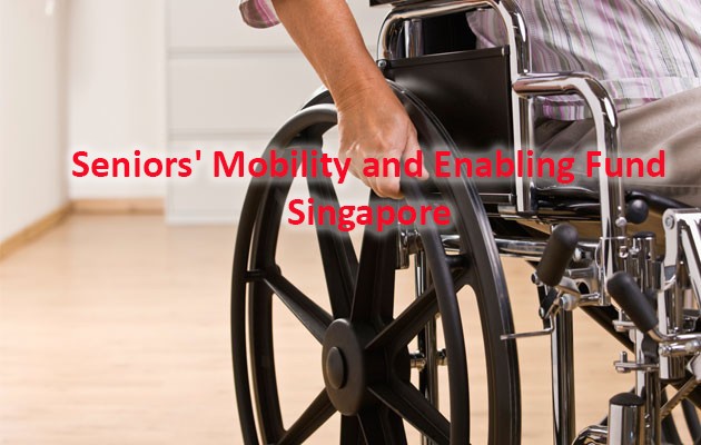 Seniors' Mobility and Enabling Fund (Singapore)