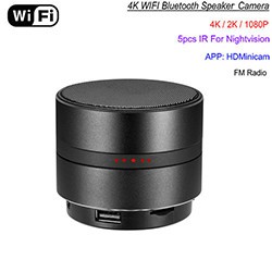 WIFI Network Bluetooth Speaker Camera, HD 4K Video, Max 128G SD Card - 1 250px
