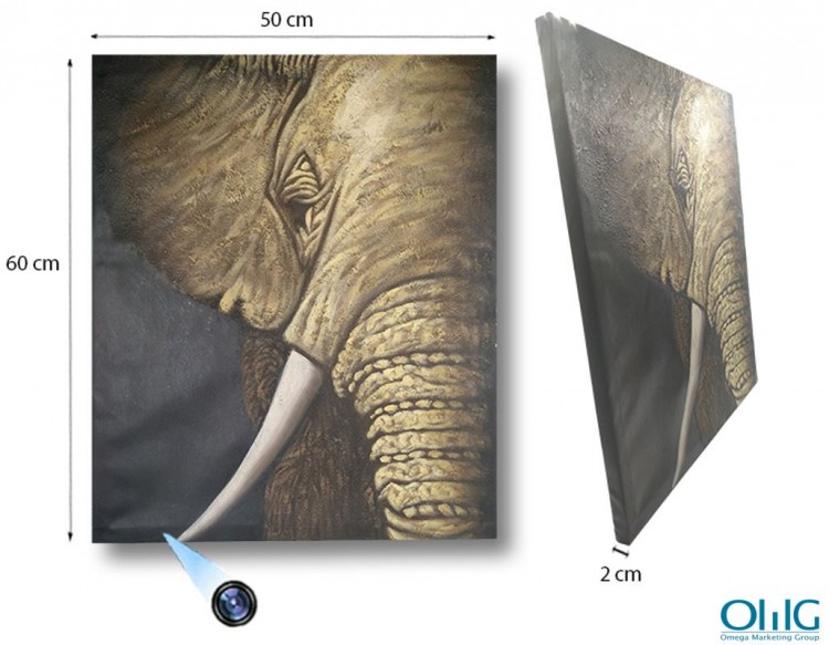 Elephant Oil Paint Spy Hidden Camera, 36 Hrs recording, 48 Hours - 1 750px