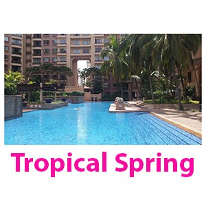 OMG Solutions Clients - Tropical Spring