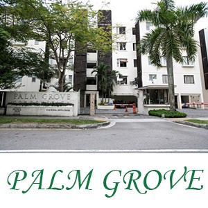 OMG Solution Client - Palm Grove