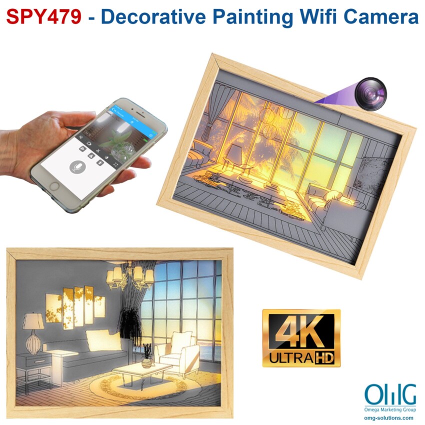 SPY479 - Decorative Painting Wifi Camera - Main