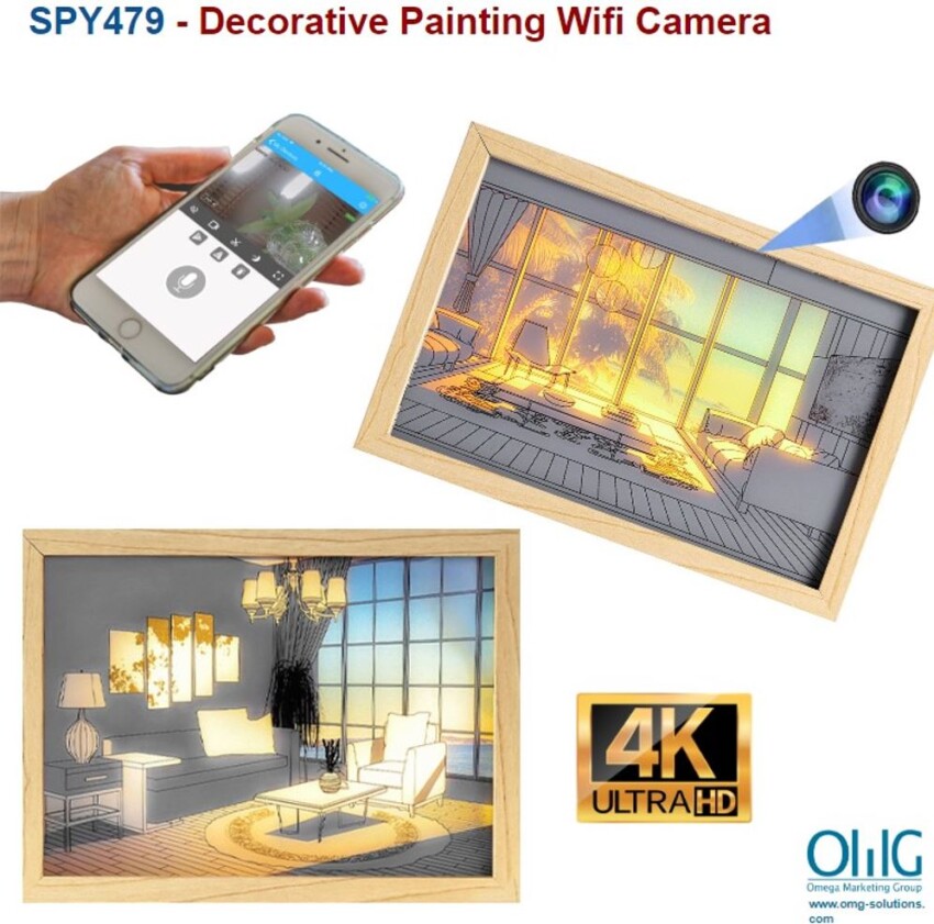 SPY479 - Decorative Painting Wifi Camera