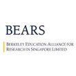 bears 250x