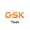 OMG Solutions - Client - Gsk Tuas